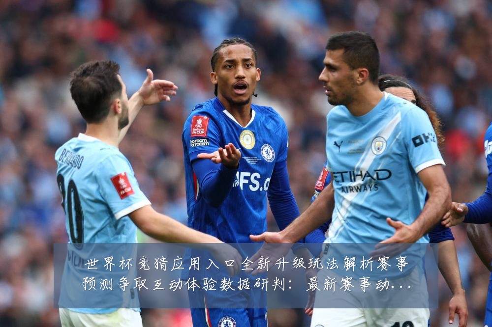 世界杯竞猜应用入口全新升级玩法解析赛事预测争取互动体验数据研判:最新赛事动态与深度分析